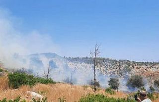 Silifke’de ağaçlık alanda çıkan yangın kontrol...