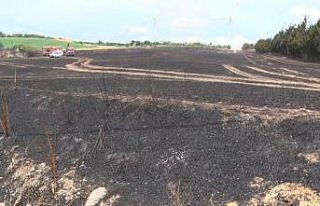 Silivri’de sigara izmariti 30 dönüm buğdayı...