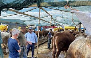 Sincan’da Kurban Bayramı hazırlıkları tamam