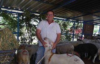 Sındırgı kurban pazarında arefe yoğunluğu yaşandı