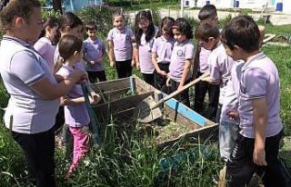 Sinop’ta çevreci eğitim modeli