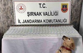 Şırnak’ta 281 bin 500 TL değerinde kaçak malzeme...