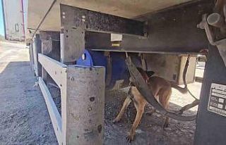 Şırnak’ta aracında 30 kilo uyuşturucuyla yakalanan...