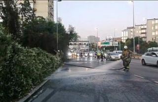 Şişli’de ağaçlık alanda çıkan yangın korkuttu