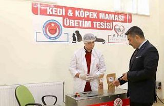 Sivas’ta atık gıdalar mamaya dönüşüyor