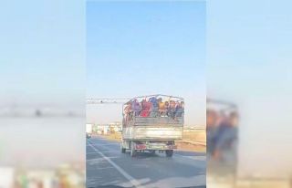 Siverek’te mevsimlik işçilerin tehlikeli yolculuğu...