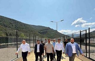 Sokak hayvanları için yapılan modern yaşam merkezi...