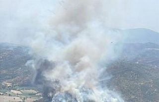 Söke’deki yangın kontrol altına alındı