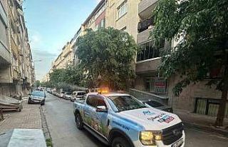 Sultangazi’de sivrisineksiz yaz için ilaçlama...