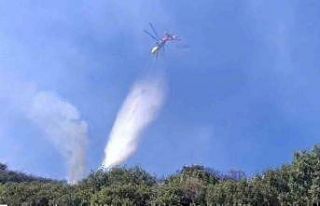 Sultanhisar yangını kontrol altına alındı