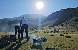 Süphan Dağı piknikçilerin yeni gözdesi oldu