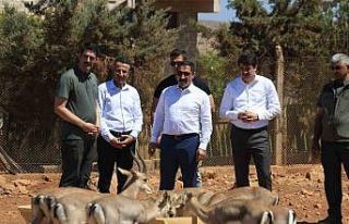 Suriye sınırının sıfır noktasında kurulan merkezle...