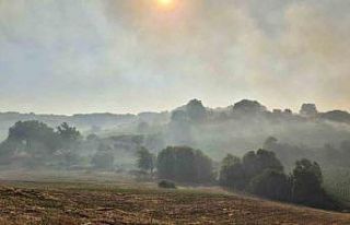 Susurluk Babaköy’de arazi yangını kontrol altına...