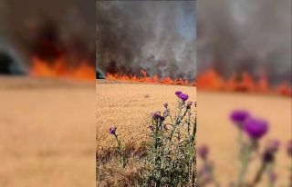 Susurluk-Bandırma kara yolunda tarla yangını