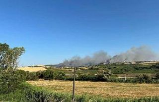 Susurluk’ta arazi yangını: Söndürme çalışmaları...