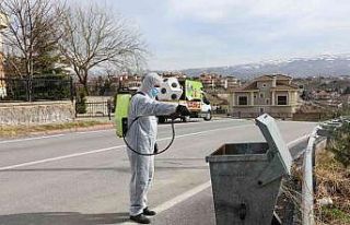 Talas’ta haşereyle kararlı mücadele