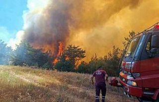 Taraklı’da çıkan orman yangını helikopterden...