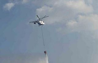 Taraklı’daki orman yangınına ilişkin gözaltına...