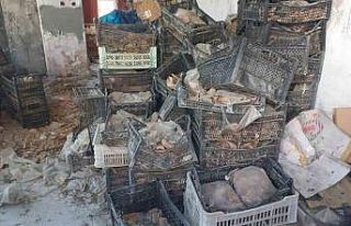 Tarihi çömlek ve seramikler atıl vaziyette çürüme...