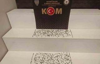 Tarihi eser kaçakçıları yakayı ele verdi