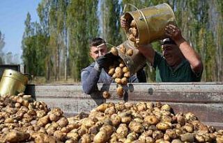 Tarım-GFE yıllık yüzde 30,12 arttı