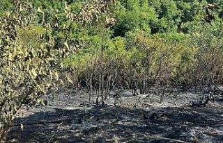 Tarla temizliğinden yangın çıktı