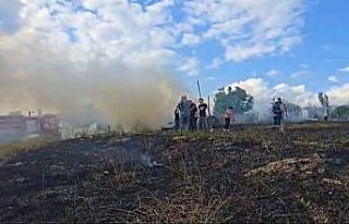 Tarlada çıkan yangın paniğe neden oldu