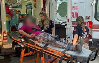 Taşlı saldırıya uğrayan kadın yaralandı