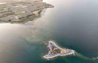 Tatvan sahilinde mikrobiyalit ve adacıklar ortaya...