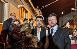 ’Tavuk almaya’ giden geline oğlak verdiler, gelin...