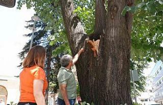 Tehlike ortadan kaldırıldı