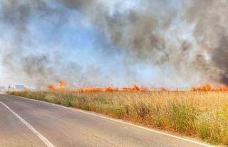 Tekirdağ’da 250 dönüm buğday yandı