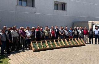 Tekirdağ’da 314 üreticiye 283 bin sebze fidesi...