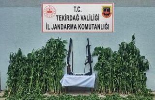 Tekirdağ’da jandarmadan uyuşturucu ve silah operasyonu
