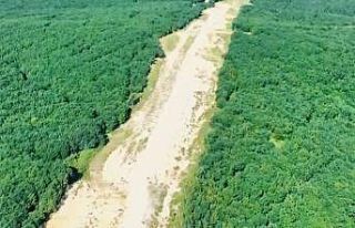 Tekirdağ’da orman nöbeti: Jandarma kaçak kesimlere...