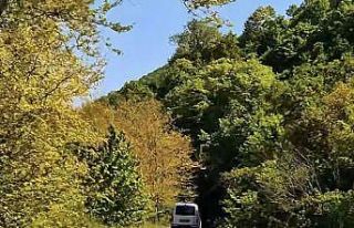 Tekirdağ’da ormanlara girişler yasaklandı