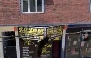 Tele takılan kuşu itfaiye kurtardı