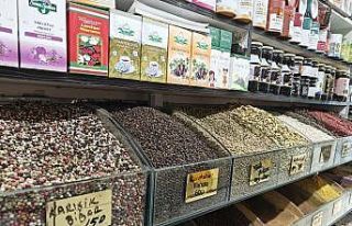 Ter kokusuna bitkisel çözüm