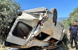 Ticari araç zeytinliğe uçtu: 1 ölü