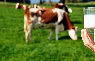 Ticari süt işletmelerince 981 bin 10 ton inek sütü...