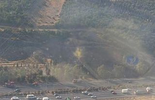 Tır alev aldı, ormanı tutuşturdu