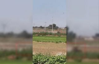 Trafik polisi tarlada traktör kovaladı