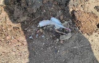 Trafoya kuş çarptı, alevler kısa sürede söndürüldü