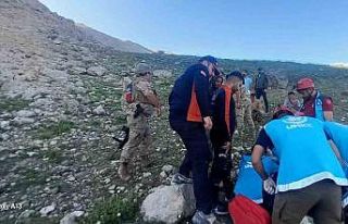 Tunceli’de dağlık alanda düşerek yaralanan çoban,...