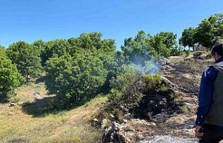Tunceli’de yangın köye sıçramadan engellendi