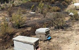 Turgutlu’da kırsal alanda çıkan yangın ormanlık...