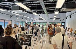 "Türkiye’nin Doğası" Ormanya’da hayat...