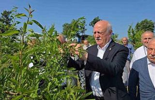 TZOB Genel Başkanı Bayraktar, Karabük’te zirai...