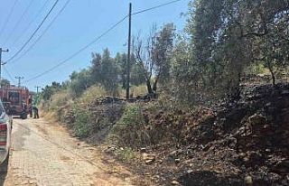 Ula’da yol kenarında çıkan yangın korkuttu