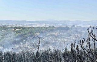 Uşak’ta tarım arazisinde çıkan yangın makilik...